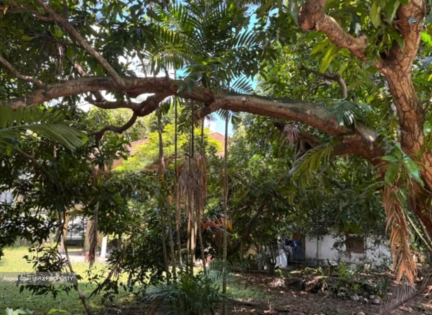Tanjong Rhu Road (D15),  #538596941